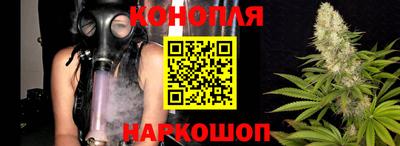 прущие грибы Краснознаменск