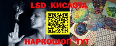 прущие грибы Краснознаменск