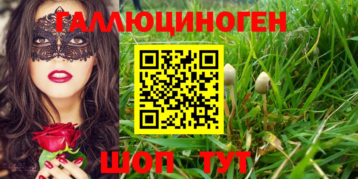 Северодвинск  дарнет шоп  Вход с VPN  Галлюциногенные грибы мицелий 